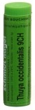 SN thuya occidentalis glob 9 CH 1 g