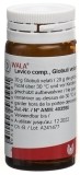 WALA Levico comp Glob Fl 20 g