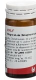 WALA magnesium phosphor comp glob 20 g