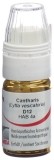 OMIDA Cantharis Glob D 12 m Dosierhilfe 4 g