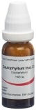 OMIDA Caulophyllum thalictroides Globuli C30, 14 g