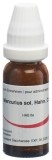 OMIDA mercurius solubilis hahnemann glob 30 C 14 g