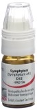 OMIDA Symphytum Glob D 12 m Dosierhilfe 4 g