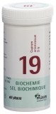 PFLÜGER SCHÜSSLER no19 cupr arseni comprimés 6 D 100 g