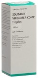 PHÖNIX Solidago virgaurea comp spag Fl 100 ml