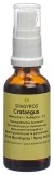 SPAGYROS GEMMO Crataegus laevi Glycerinmazerat D1, 30 ml