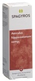 SPAGYROS SPAGYRIK COMP Aesculus hippocastanum comp Spray, 50 ml