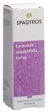 SPAGYROS SPAGYRIK COMP Lavandula angungstifolia comp Spray, 50 ml
