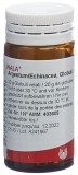WALA Argentum/Echinacea Globuli, 20 g