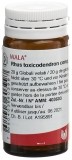 WALA rhus toxicodendron comp globules, 20 g