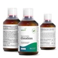 SANASIS Glutathion liposomal, 250 ml