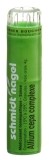 SN Allium cepa complexe Gran 4 g