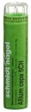 SN Allium cepa Gran CH 5 4 g