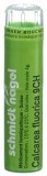 SN Calcarea fluorica Gran CH 9 4 g