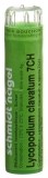 SN lycopodium clavatum gran 7 CH 4 g