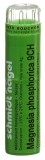 SN Magnesia phosphorica Gran CH 9 4 g