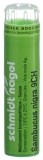 SN sambucus nigra gran 9 CH 4 g