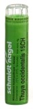 SN thuya occidentalis gran 15 CH 4 g