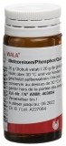 WALA Meteoreisen/Phosphor/Quarz Glob Fl 20 g
