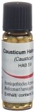 OMIDA Causticum Hahnemanni Glob C 30 2 g