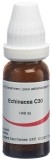 OMIDA Echinacea Glob C 30 14 g