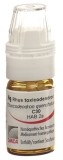 OMIDA rhus tox globules C30 avec doseur, 4 g