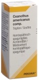 PEKANA Ceanothus americanus comp Tropfen Fl 50 ml