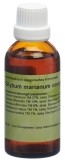 SPAGYROS Silybum marianum complex Urtinktur, 50 ml
