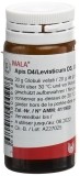 WALA Apis D4/Levisticum D3 Globuli, 20 g