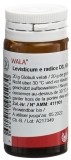 WALA Levisticum e radice Globuli D3, 20 g