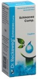 RECKEWEG R193 Echinacea Comp. Tropfen Fl 50 ml