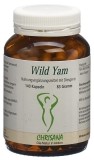 CHRISANA Wild Yam Extrakt Kapseln, 140 Stück