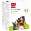 PHA GelenkVital Pulver, 150 g