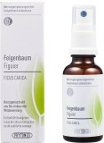 PHYTOMED Knospenextrakt Feigenbaum Spray, 30 ml