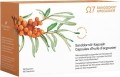 Sanddorn Argousier Omega 7 Kapseln, 180 Stück