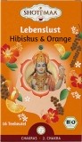 Shoti Maa Thé Fureur de vivre Hibiscus et Orange 16 sachets