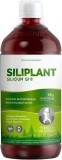 SILICIUM G7, 1 l