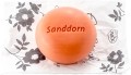 SPEICK Badeseife Sanddorn, 225 g