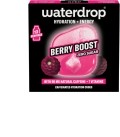 WATERDROP Microenergy Berry Boost, 12 Stück