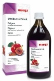 Morga Wellness Drink Feigen