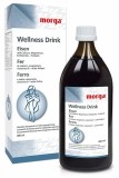 Morga Wellness Drink Eisen
