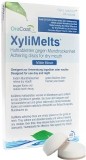 XYLIMELTS past adhérent bouche sèche menthe 40 pièces