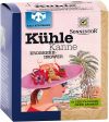 SONNENTOR Erdbeere-Ingwer Kühle Kanne Teepyramiden