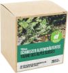DIXA Schweizer Alpenkräuter Bio Box Pyramidenbeutel, 20 Stück