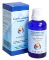 RUBIMED Amanita muscaria gouttes, 50 ml