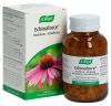 VOGEL Echinaforce résistance refroidissement comprimés, 400 pièces