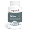 Kingnature Cholin Vida capsules 350 mg, 90 pièces