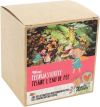 DIXA Kindertee Feenwasser Bio Box Pyramidenbeutel, 20 Stück