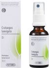 PHYTOMED GEMMO Crataegus laevigata liq 1 D 30 ml