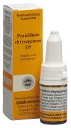 SANUM Penicillium chrysogenum Tropfen D5, 10 ml